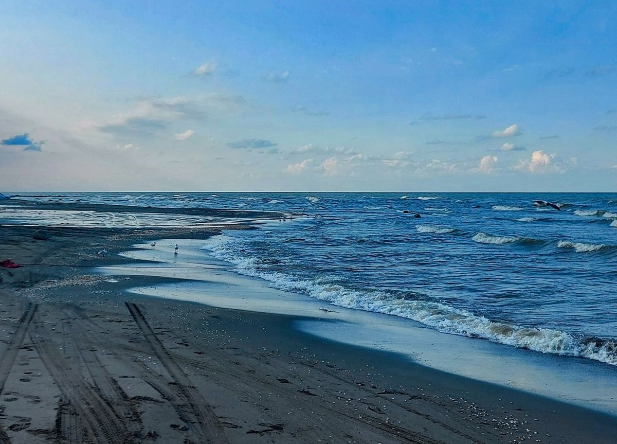 نزدیکی به ساحل