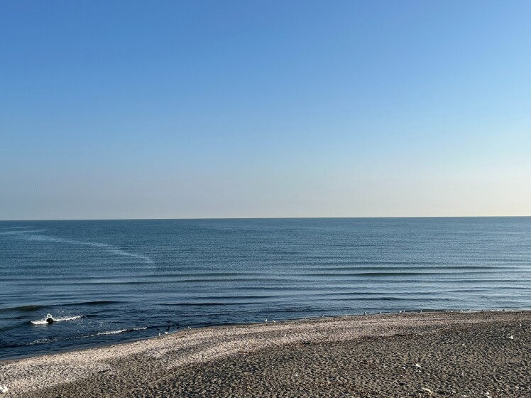 ویو دریا یا ویو جنگل؟ بهترین چشم انداز برای خرید آپارتمان در شمال