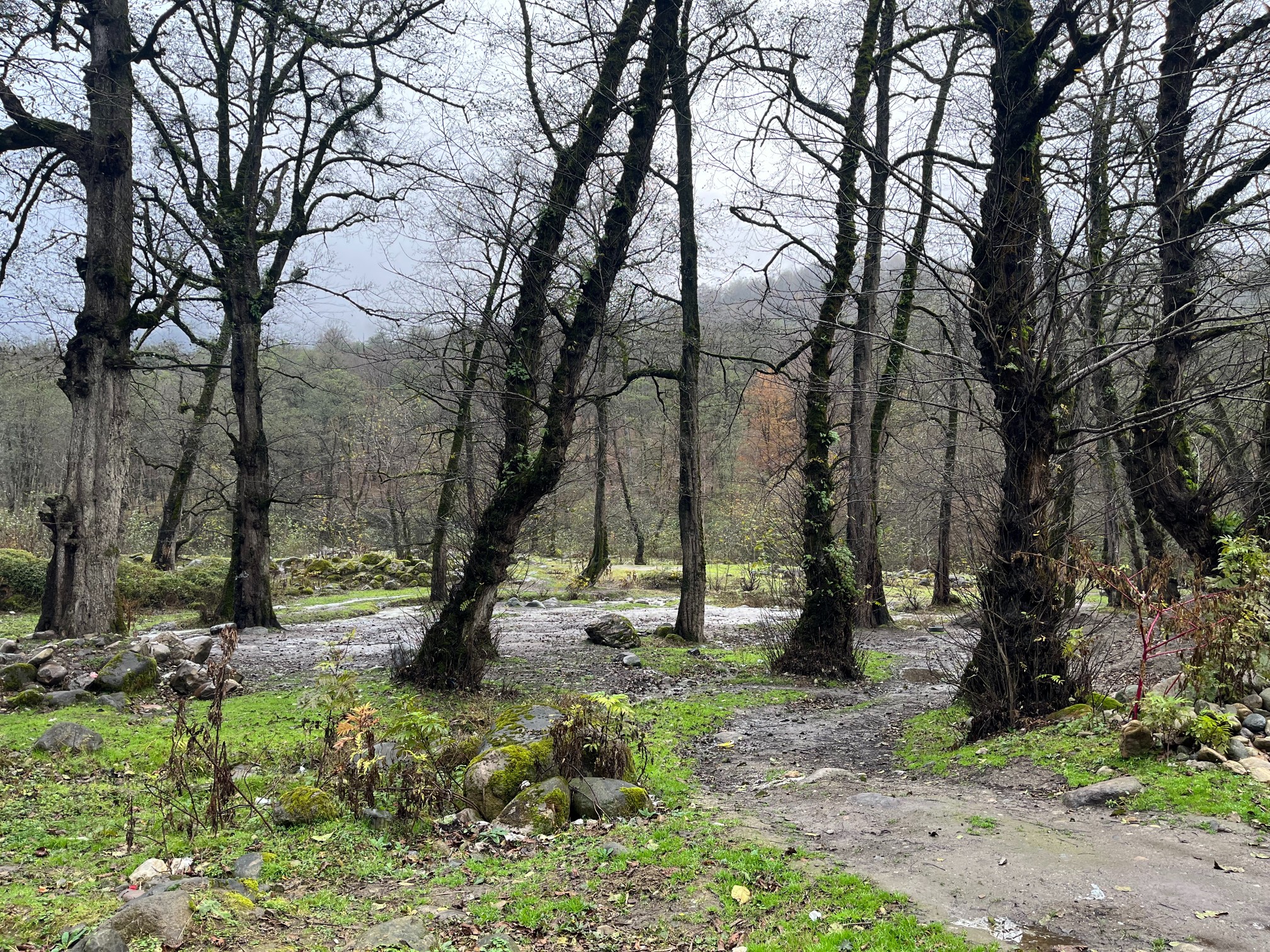 زندگی راحت در شمال